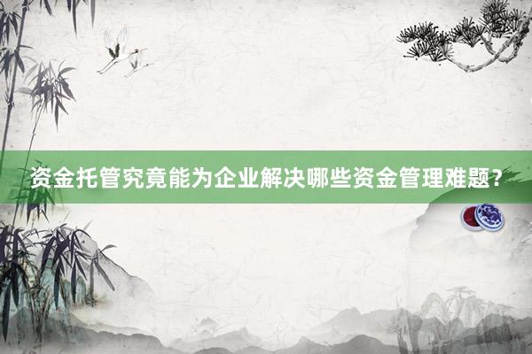 资金托管究竟能为企业解决哪些资金管理难题？