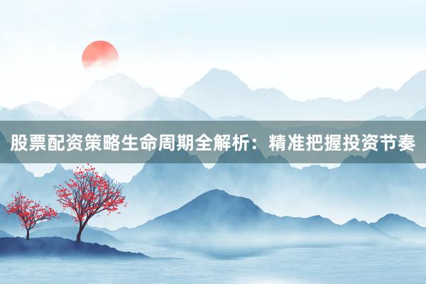 股票配资策略生命周期全解析：精准把握投资节奏