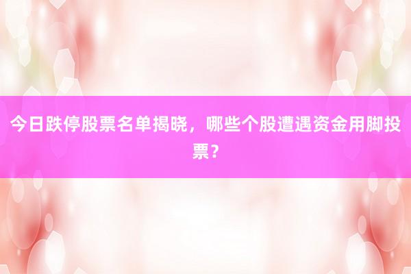 今日跌停股票名单揭晓,哪些个股遭遇资金用脚投票?
