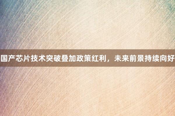 国产芯片技术突破叠加政策红利，未来前景持续向好