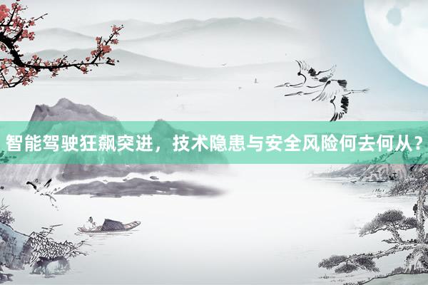 智能驾驶狂飙突进，技术隐患与安全风险何去何从？