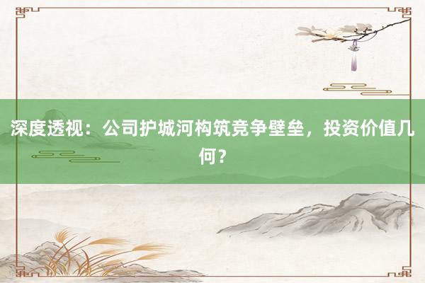 深度透视：公司护城河构筑竞争壁垒，投资价值几何？