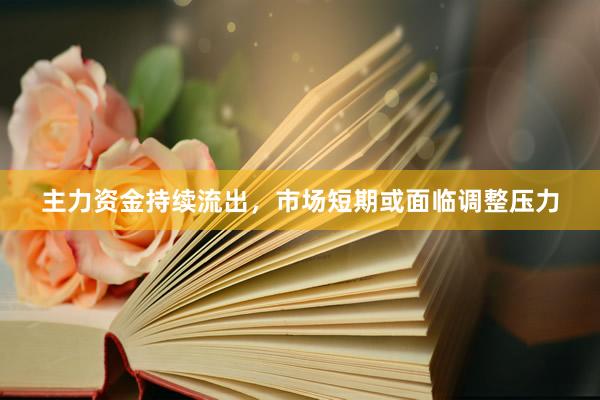 主力资金持续流出，市场短期或面临调整压力