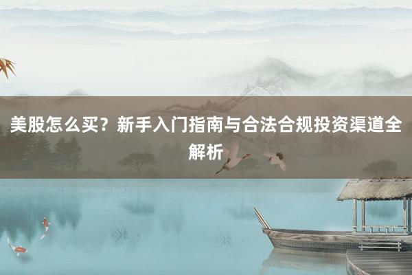 美股怎么买？新手入门指南与合法合规投资渠道全解析